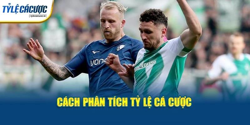 Cách phân tích tỷ lệ cá cược