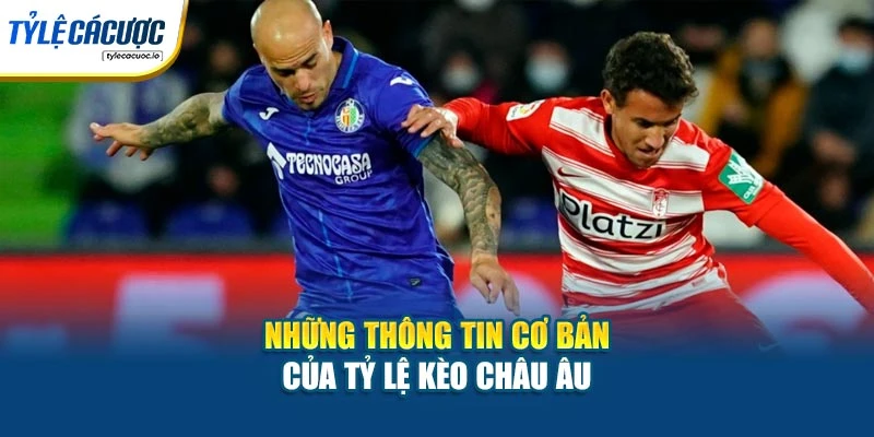 Những thông tin cơ bản của tỷ lệ kèo châu Âu