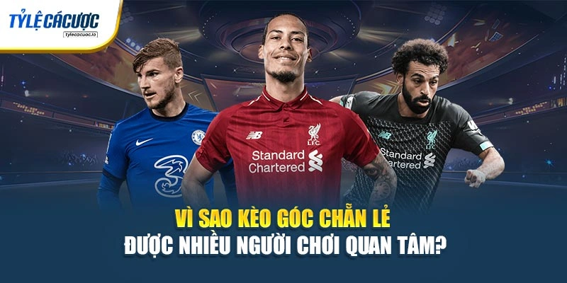 Vì sao kèo góc chẵn lẻ được nhiều người chơi quan tâm?