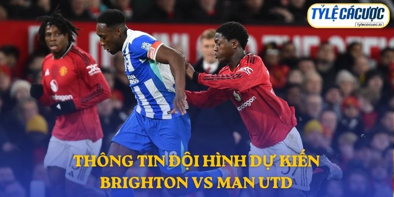 Thông tin đội hình dự kiến Brighton vs Manchester United