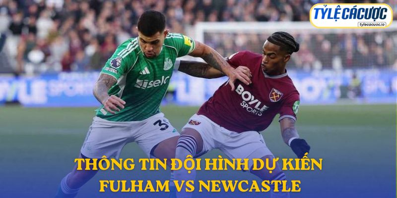 Thông tin đội hình dự kiến Fulham vs Newcastle