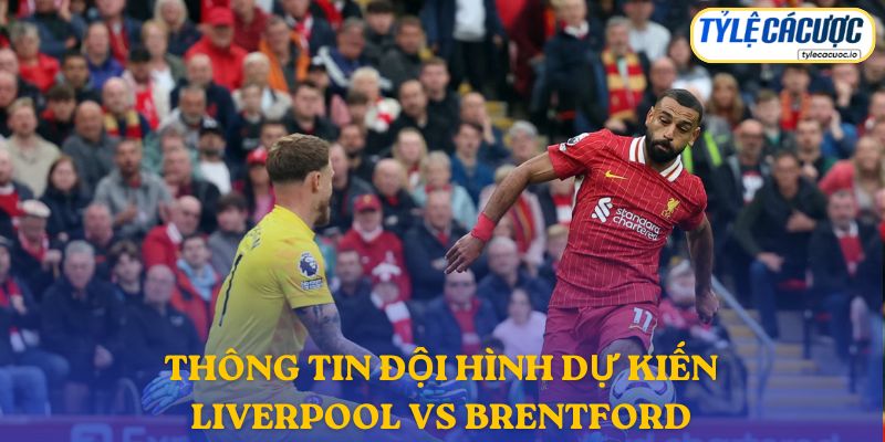 Thông tin đội hình dự kiến Liverpool vs Brentford