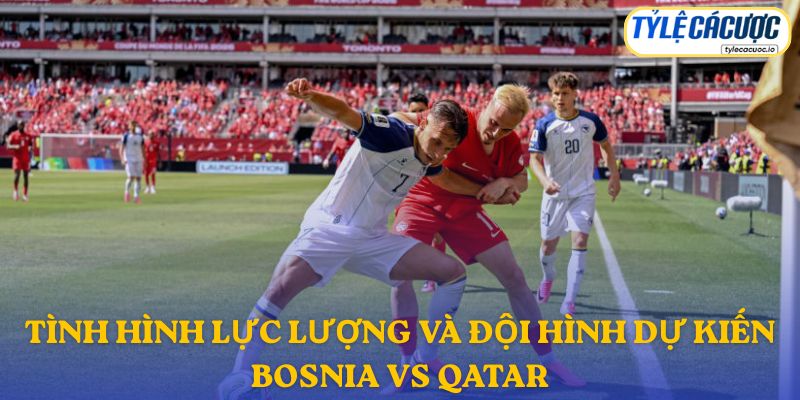 Thông tin đội hình dự kiến Bosnia vs Qatar