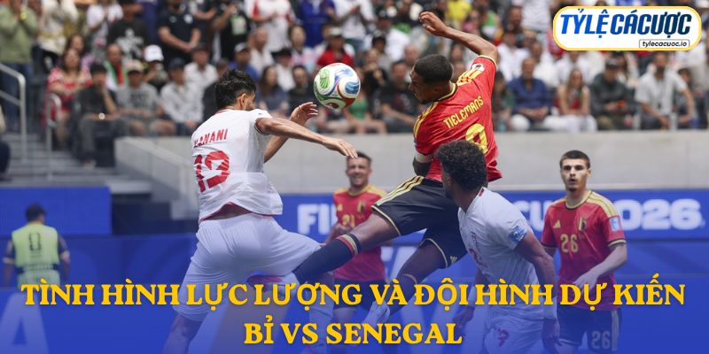 Thông tin lực lượng Bỉ vs Senegal